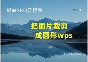 把图片裁剪成圆形wps