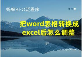 把word表格转换成excel后怎么调整