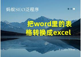 把word里的表格转换成excel