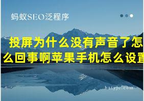 投屏为什么没有声音了怎么回事啊苹果手机怎么设置