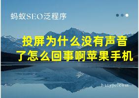 投屏为什么没有声音了怎么回事啊苹果手机