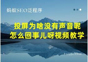 投屏为啥没有声音呢怎么回事儿呀视频教学