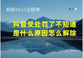 抖音受处罚了不知道是什么原因怎么解除