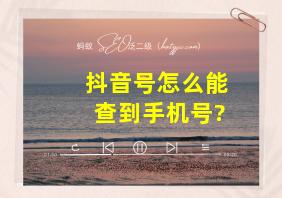 抖音号怎么能查到手机号?