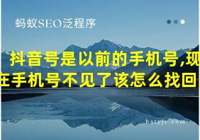 抖音号是以前的手机号,现在手机号不见了该怎么找回来