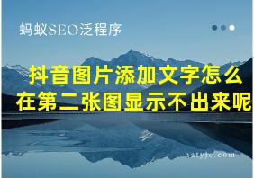 抖音图片添加文字怎么在第二张图显示不出来呢