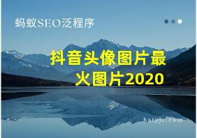 抖音头像图片最火图片2020