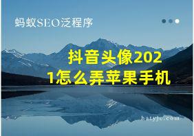 抖音头像2021怎么弄苹果手机