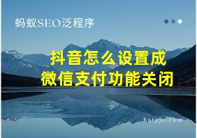 抖音怎么设置成微信支付功能关闭