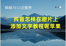 抖音怎样在图片上添加文字教程呢苹果