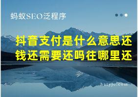 抖音支付是什么意思还钱还需要还吗往哪里还