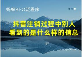 抖音注销过程中别人看到的是什么样的信息