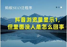 抖音浏览量显示1,但里面没人是怎么回事