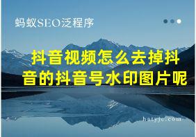 抖音视频怎么去掉抖音的抖音号水印图片呢