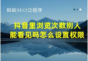 抖音里浏览次数别人能看见吗怎么设置权限