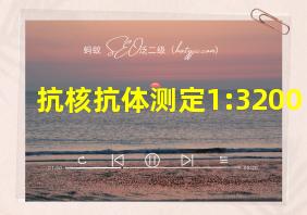 抗核抗体测定1:3200