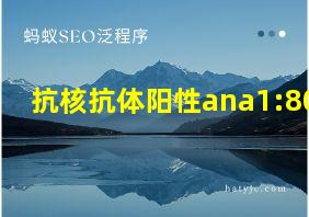 抗核抗体阳性ana1:80