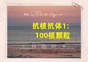 抗核抗体1:100核颗粒