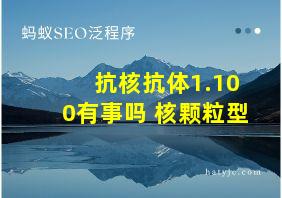 抗核抗体1.100有事吗 核颗粒型