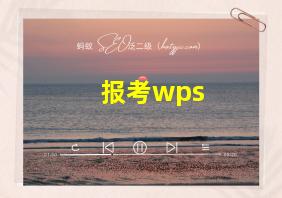 报考wps