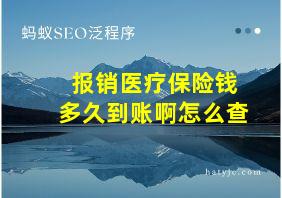 报销医疗保险钱多久到账啊怎么查