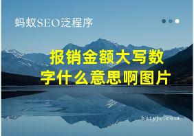 报销金额大写数字什么意思啊图片