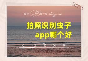 拍照识别虫子app哪个好