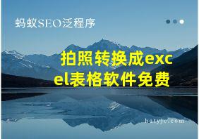 拍照转换成excel表格软件免费