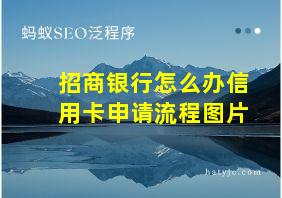 招商银行怎么办信用卡申请流程图片