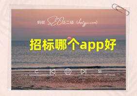 招标哪个app好