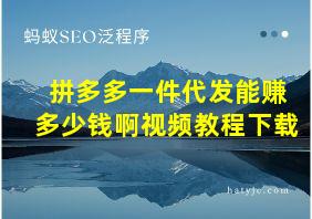 拼多多一件代发能赚多少钱啊视频教程下载