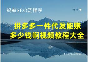 拼多多一件代发能赚多少钱啊视频教程大全