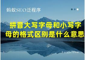 拼音大写字母和小写字母的格式区别是什么意思