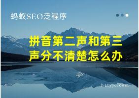 拼音第二声和第三声分不清楚怎么办