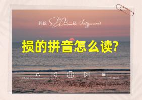 损的拼音怎么读?