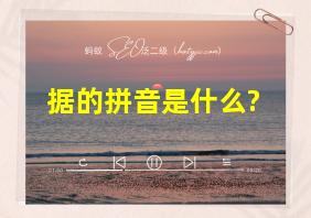 据的拼音是什么?