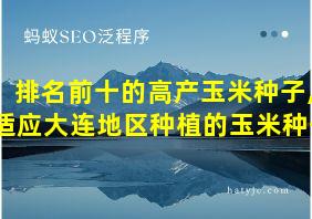 排名前十的高产玉米种子,适应大连地区种植的玉米种子