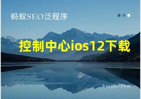 控制中心ios12下载