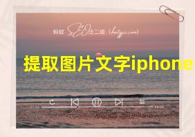 提取图片文字iphone