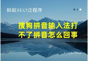 搜狗拼音输入法打不了拼音怎么回事