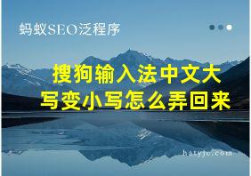 搜狗输入法中文大写变小写怎么弄回来