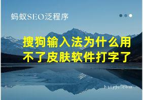 搜狗输入法为什么用不了皮肤软件打字了