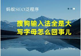 搜狗输入法全是大写字母怎么回事儿