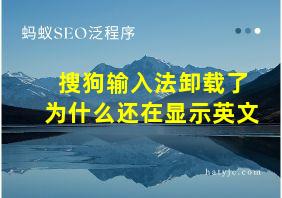 搜狗输入法卸载了为什么还在显示英文