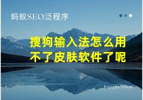 搜狗输入法怎么用不了皮肤软件了呢