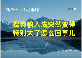 搜狗输入法突然变得特别大了怎么回事儿