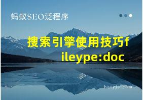 搜索引擎使用技巧fileype:doc