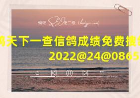 搜鸽天下一查信鸽成绩免费搜鸽网2022@24@0865578