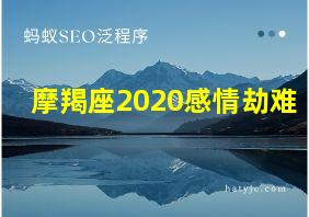 摩羯座2020感情劫难