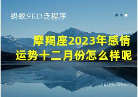 摩羯座2023年感情运势十二月份怎么样呢